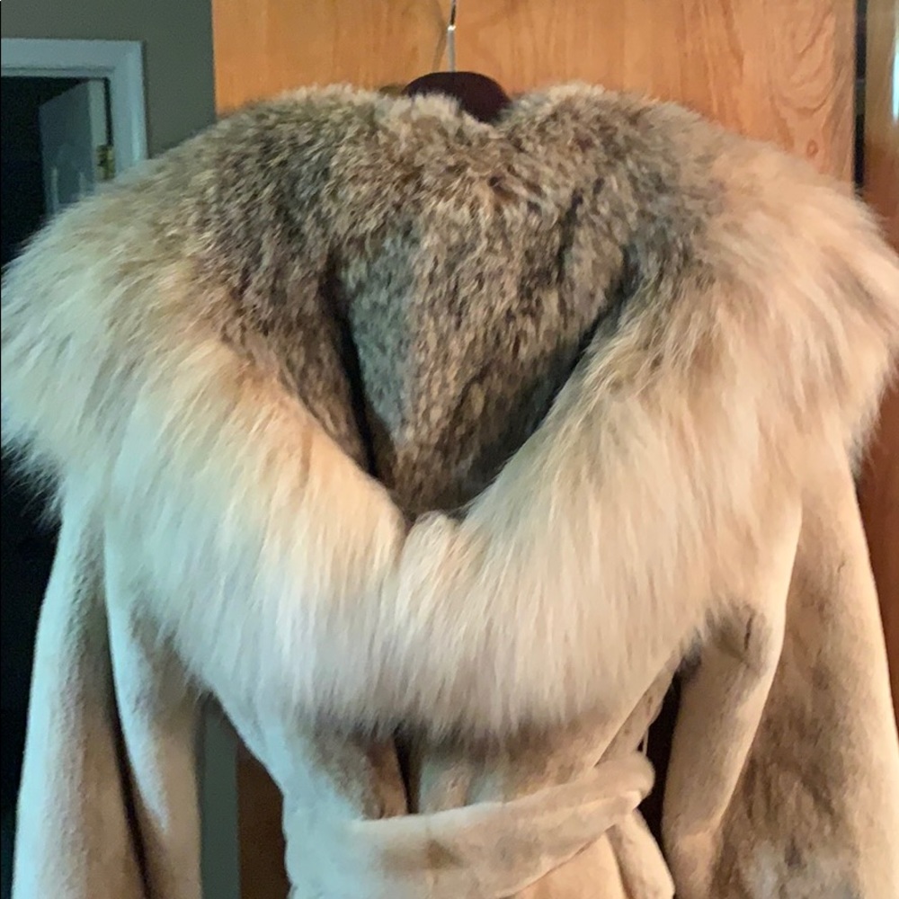 Sable/mink - Picture 5 of 6